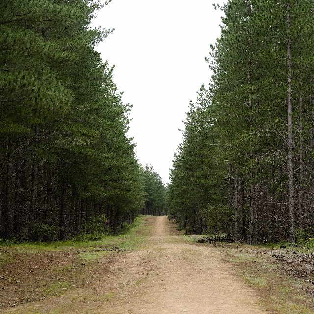 Photo from Kuitpo Overnight