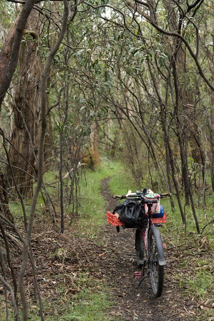 Photo from Kuitpo Overnight