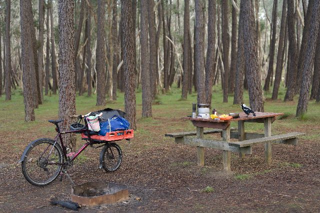 Photo from Kuitpo Overnight