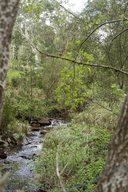 Photo from Kuitpo Overnight