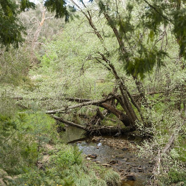 Photo from Kuitpo Overnight