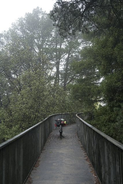 Photo from Kuitpo Overnight