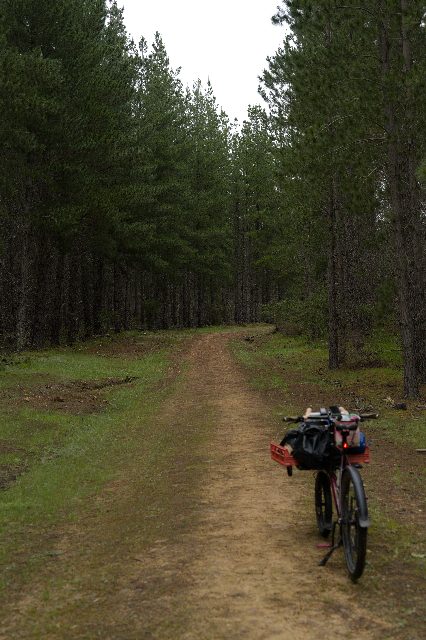 Photo from Kuitpo Overnight
